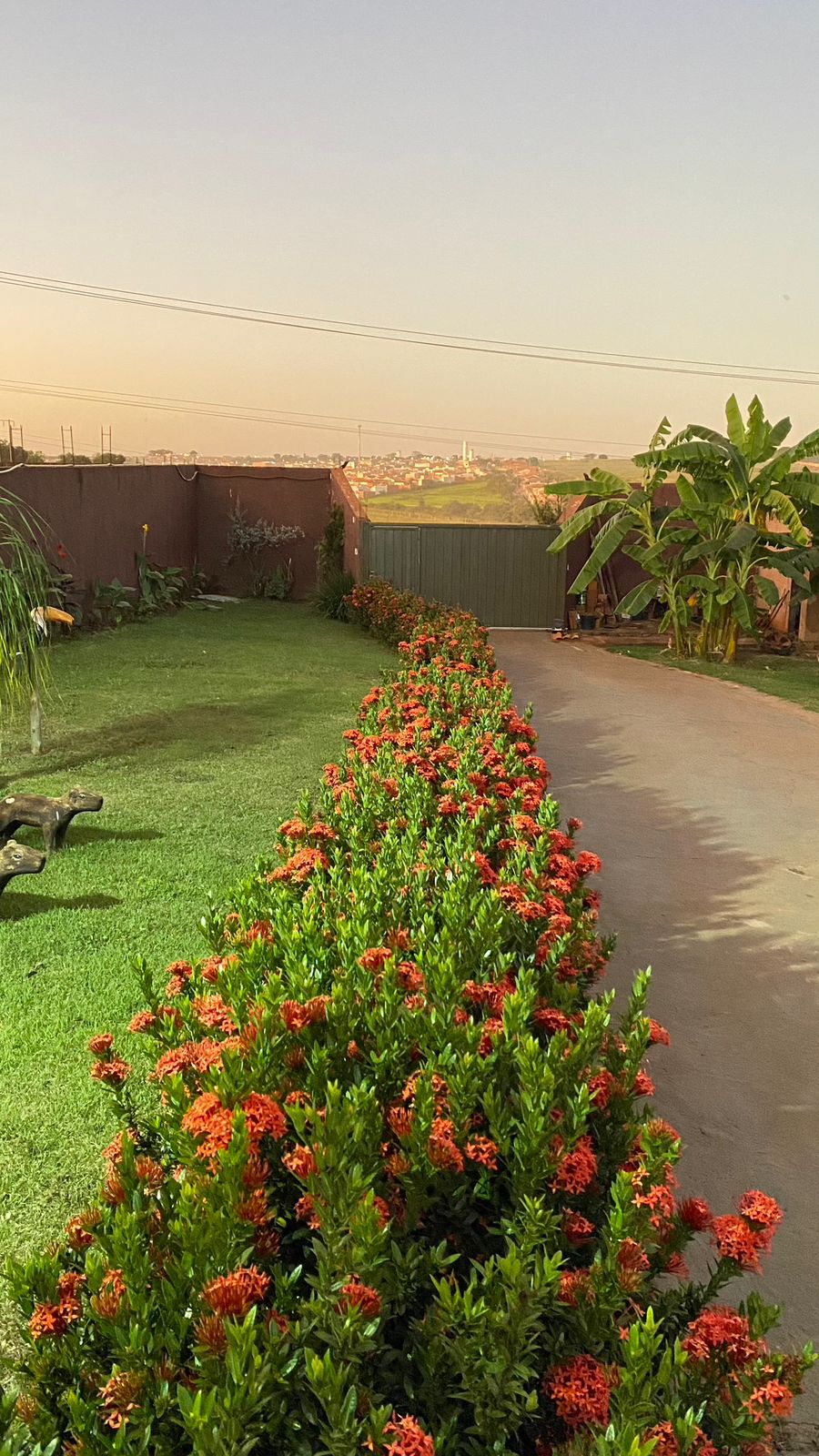 🏡 Chácara 1